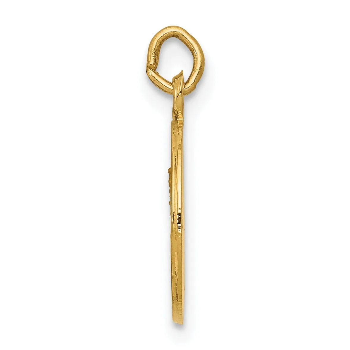 14k Yellow Gold Our Lady of Mt. Carmel Medal