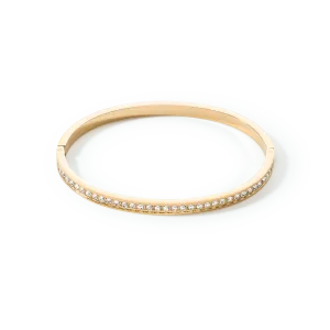 Bangle stainless steel & crystals gold crystal 17