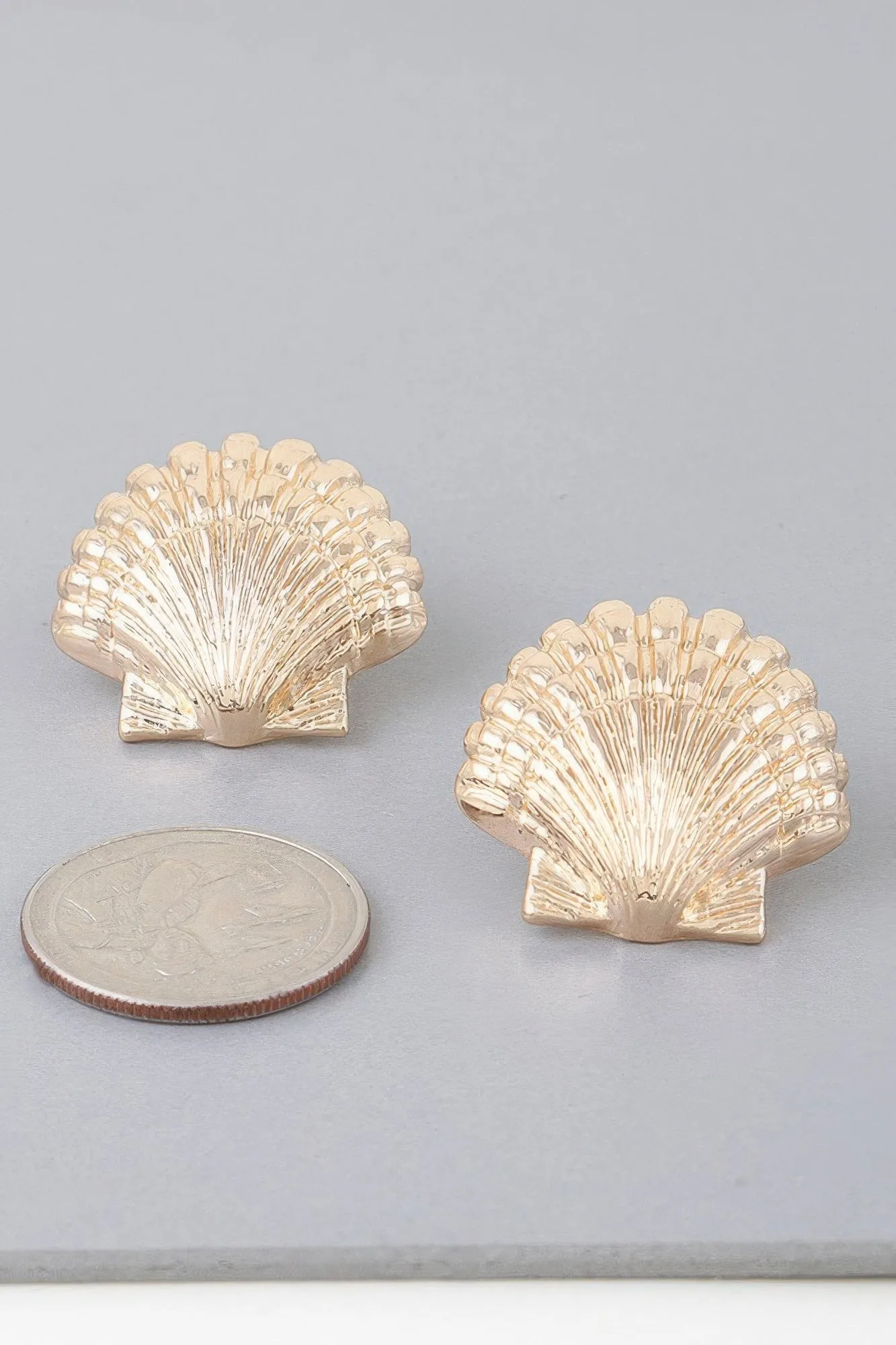 Majestic Clamshell Earrings