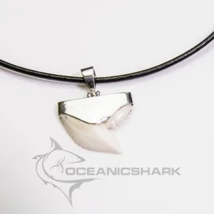 Tiger Shark Tooth Necklace s25